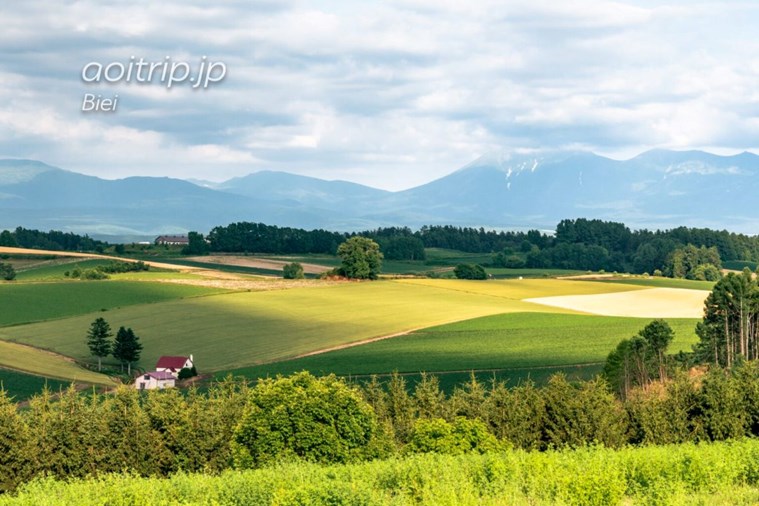 Tour Nhật Bản Bay Thẳng Hokkaido - Sapporo - Otaru - Furano - Asahikawa 6N5D từ Hà Nội